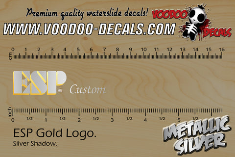 ESP Custom Silver / Gold