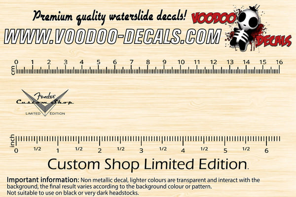 Fender Custom Shop Limited Edition GREY