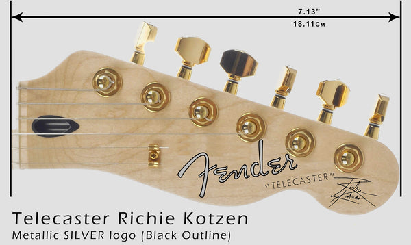 Telecaster Richie Kotzen - SILVER