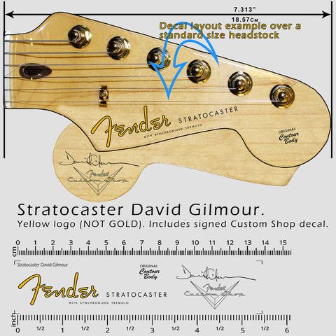 Stratocaster David Gilmour NON-METALLIC